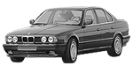 BMW E34 C1318 Fault Code